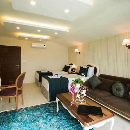 Anatolia Airport Szálloda 4*