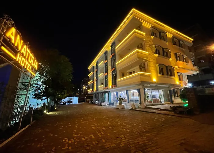 Anatolia Airport מלון 3*