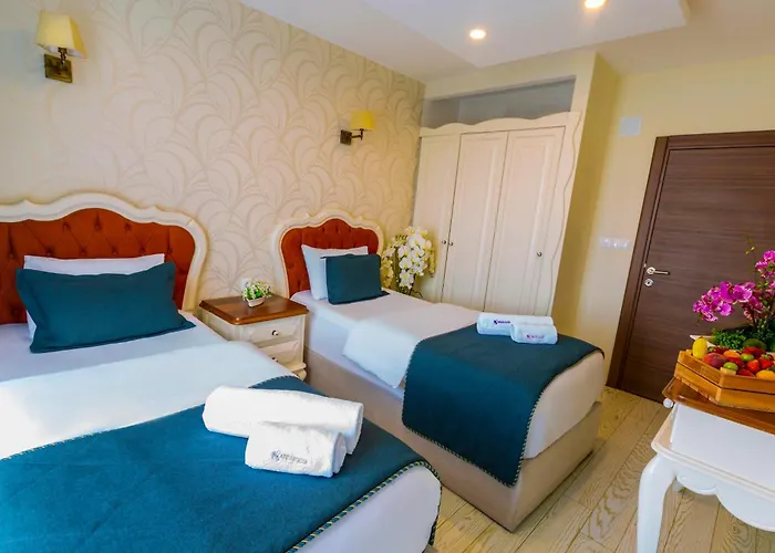 Anatolia Airport מלון 3*