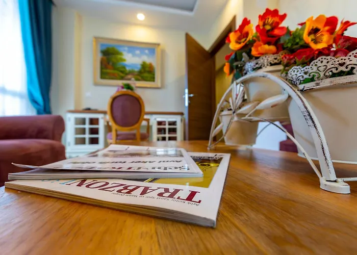 מלון Anatolia Airport