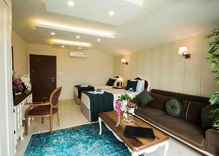 Anatolia Airport מלון 3*